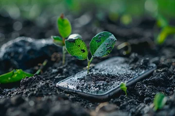Fotobehang The cycle of life for biodegradable electronics A smartphone fades into the earth leaving a legacy of growth as plants emerge around its remains © Sara_P