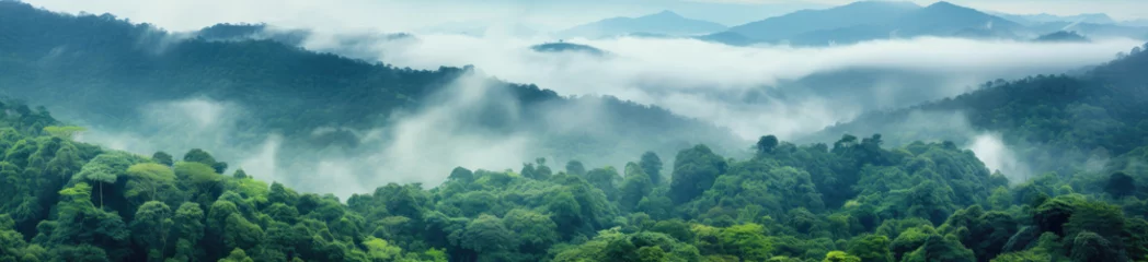 Fototapeten A Serene Forest Blanketed in Mist © ZOORY