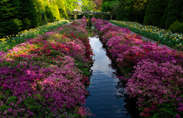 Fototapety na wymiar - Fototapeta24.pl