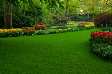 Garden with blooming spring flowers