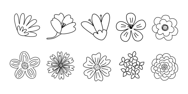 Set of different flowers heads, spring design, doodle style flat vector outline for coloring book