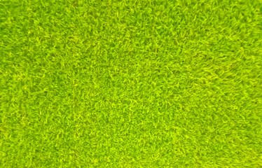 Green grass texture overlay background