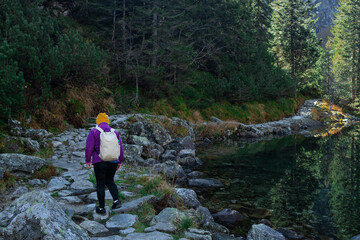 Rear shot of traveler senior woman in sportswear walking along rocky path next to mountain lake on Morskie Oko lake. Hiking travel and adventure in Poland, Tatry  © Shi 