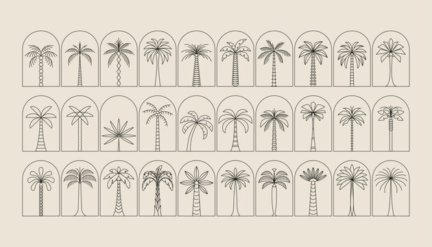 Palm tree arch frame thin line icon abstract design summer logo template modern minimal linear emblem for vacations rentals and travel services. Vector illustration