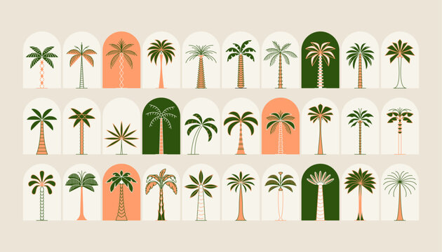 Palm tree arch frame thin line icon abstract design summer logo template modern minimal linear emblem for vacations rentals and travel services. Vector illustration