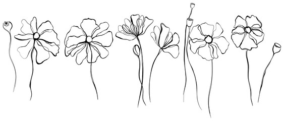 Poppy flowers abstract illustration collection. Wildflowers for background botanical art. Simple minimalist art set.