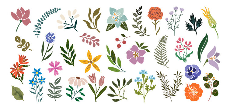 Set of hand drawn floral design elements, abstract shapes. Wild and garden flowers, leaves. Contemporary modern vector botanical art illustrations in trendy colors isolated on transparent background.