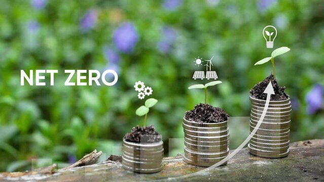 Net zero and carbon neutral concept 2050.Growth chart with net zero icons.Infographic. Net zero icons In Green Forest With Sunlight.Carbon reduce. Climate neutral long term strategy on a green forest 