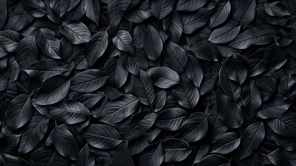 abstract black tropical leaves, with a focus on the intricate patterns and textures. 