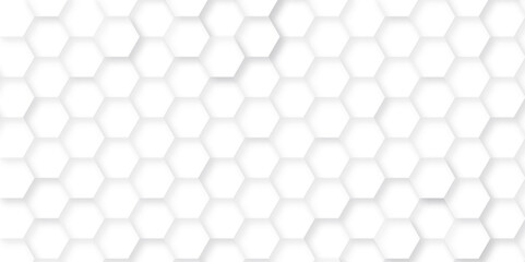Fototapeta premium Abstract background with hexagon, modern abstract vector polygonal pattern. Futuristic abstract honeycomb technology white background. Luxury white hexagon pattern.