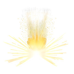  sun rays, light overlays, and yellow glow isolated on transparent backgrounds for design
