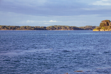 the coast of the sea