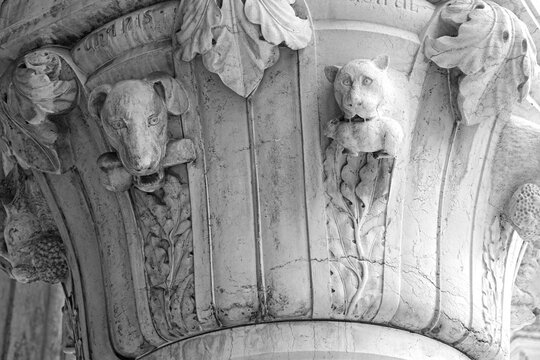 Venice, Italy, Sept. 17, 2023: Medieval stone sculptures on the Doge's Palace portico pillars include several animals, such as a dog with a bone and cat holding a mouse.
