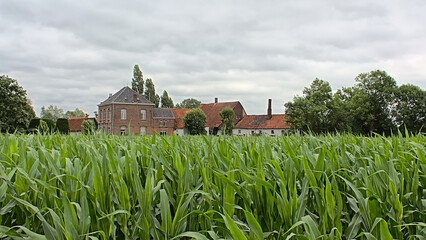 green cornfields and gentleman`s farm in the Flemish countryside © Kristof Lauwers