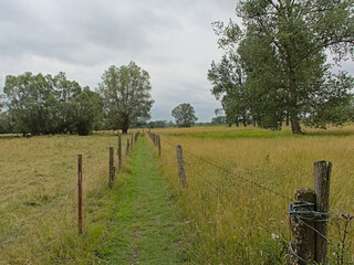 Path through a summer landscape with fenced meadows and willow trees and shrubs under a cloudy sky in Wieze, Flanders, Belgium © Kristof Lauwers