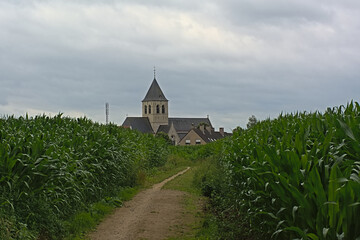 Path along corn fields to the church of the village of Wieze © Kristof Lauwers