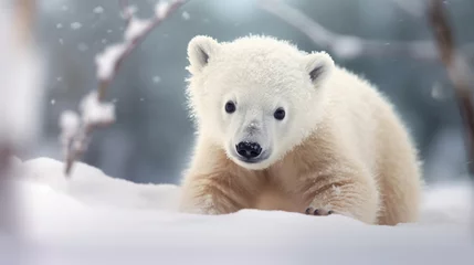 Fotobehang A cute baby polar bear in snow winter. © Wararat