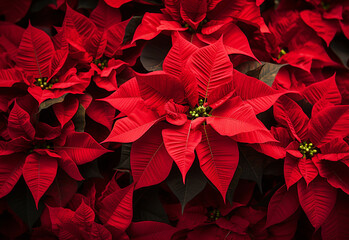 Beautiful flower background design wallpaper