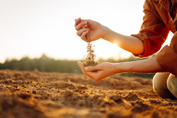 Farmer holding soil in hands close-up. Organic gardening, agriculture. Cultivated dirt, earth,...