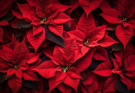 Beautiful flower background design wallpaper