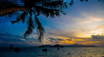 Sunset in a tropical island  with palm trees - 742960107