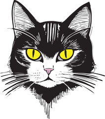 Black and White Cat with yellow eyes