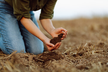 Farmer holding soil in hands close-up. Organic gardening, agriculture. Cultivated dirt, earth,...