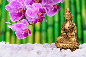 zen garden of spirit with Buddha and orchid flower