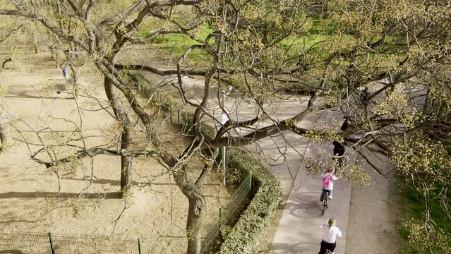 Walk through the green Turia Park in Valencia. A sunny warm day in mid-February in Spain. A popular place for active recreation.