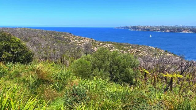 Sydney Harbour viewed from North Head Manly views of South Head Sydney CBD Mosman circular quay double bay north Sydney Taronga zoo  yacht ferry speed boats rock cliffs NSW Australia