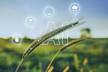 Smart farming technology on spikelet of wheat field with digital vr farm interface icons. Smart and...