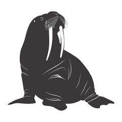 Silhouette walrus animal black color only full body