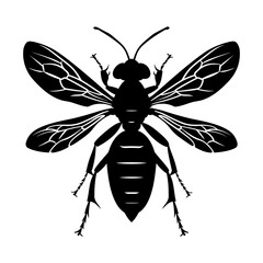 Silhouette wasp animal from top black color only full body