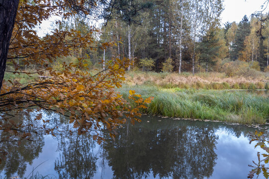 autumn landscape, forest on the river bank with reflection in calm water.