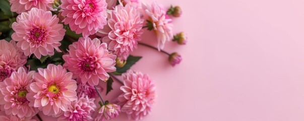 Flower bouquet on pink colored background with copyspace. Template for horizontal banner.