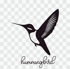 hummingbird logo design template 