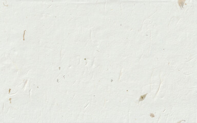 Kraft unique organic art design paper texture with detailed leafs fibers.