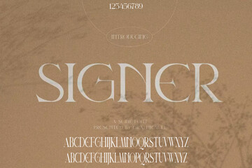 Luxury minimal classic modern typeface typo typography alphabet fonts and number, uppercase lowercase and number.