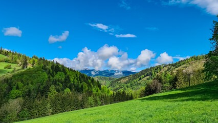 Idyllic hiking trail through lush green meadows and forest in Grazer Bergland, Prealps East of the Mur, Styria, Austria. Trees are covered in vibrant green leaves. Soft hills in alpine landscape.