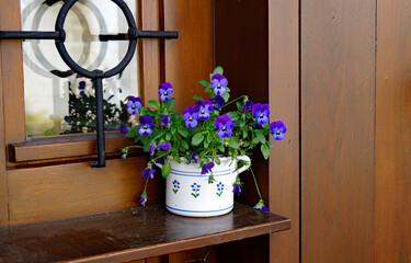 gorgeous purple violets in a dainty white flower pot with a blue floral ornament
