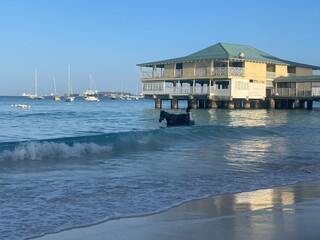Race horse getting morning swim by the pier in Barbados 