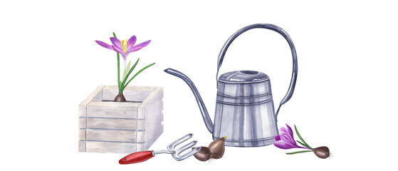 Planting flowers in the ground. Spring works in garden. Crocuses, bulbs, hand fork, watering can....