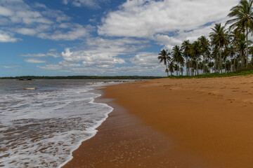 White foam formed by the sea waves on the beach sand, and in the background, several coconut trees under the blue sky with clouds
