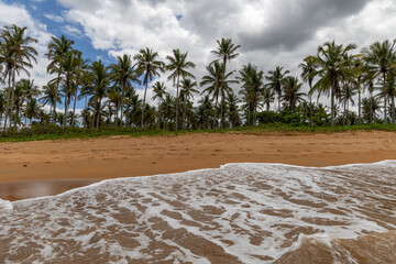 White foam formed by the sea waves on the beach sand, and in the background, several coconut trees under the blue sky with clouds