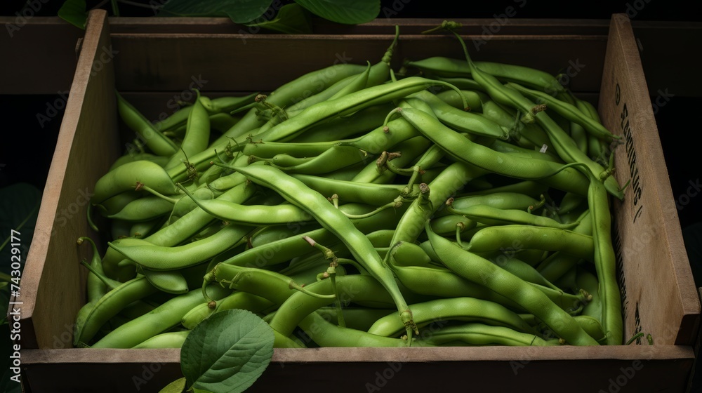 Poster a box overflowing with freshly harvested green beans, close-up realistic photo generative ai