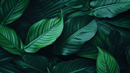 Tropical leaves abstract green leaves texture