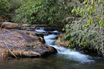 waterfall in the forest