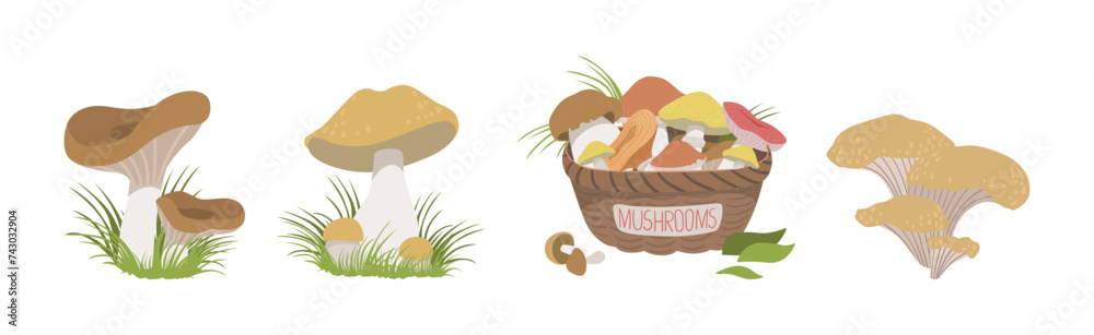 Wall mural forest mushroom with stem and cap growing in grass vector set