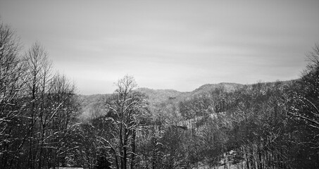 misty morning landscape