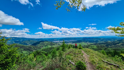 Hiker woman on rock formation along idyllic hiking trail through lush green forest in Grazer Bergland, Prealps East of the Mur, Styria, Austria. Vibrant green leaves. Soft hills in alpine landscape © Chris